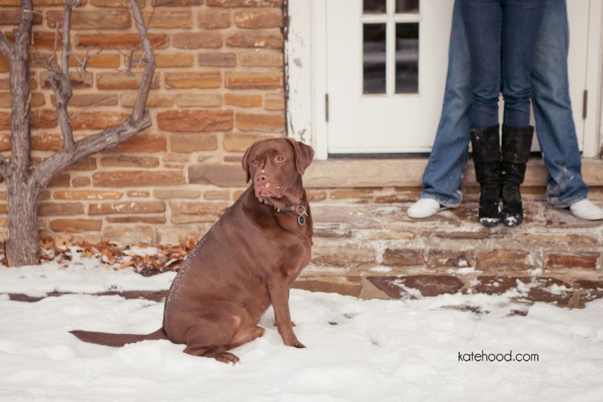 Toronto Wedding & Engagement Photographer