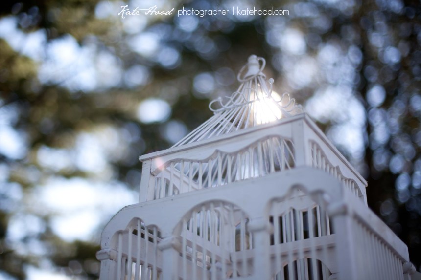 wedding photography at Port Cunnington Lodge