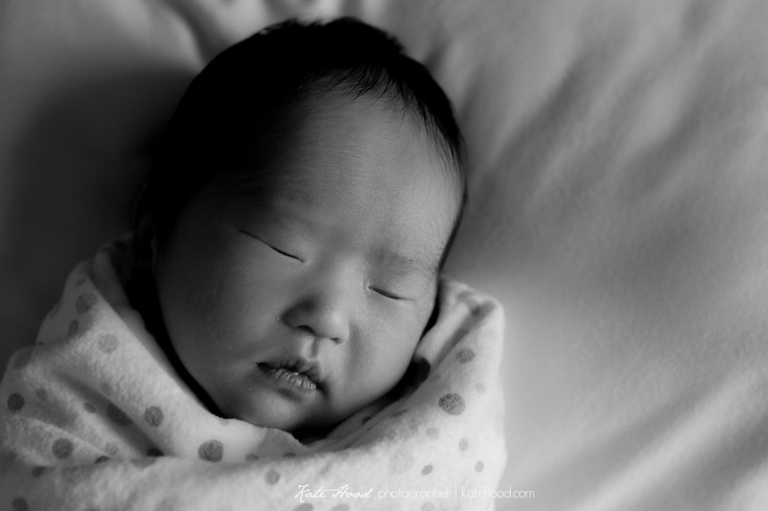 Newborn Photographer Toronto