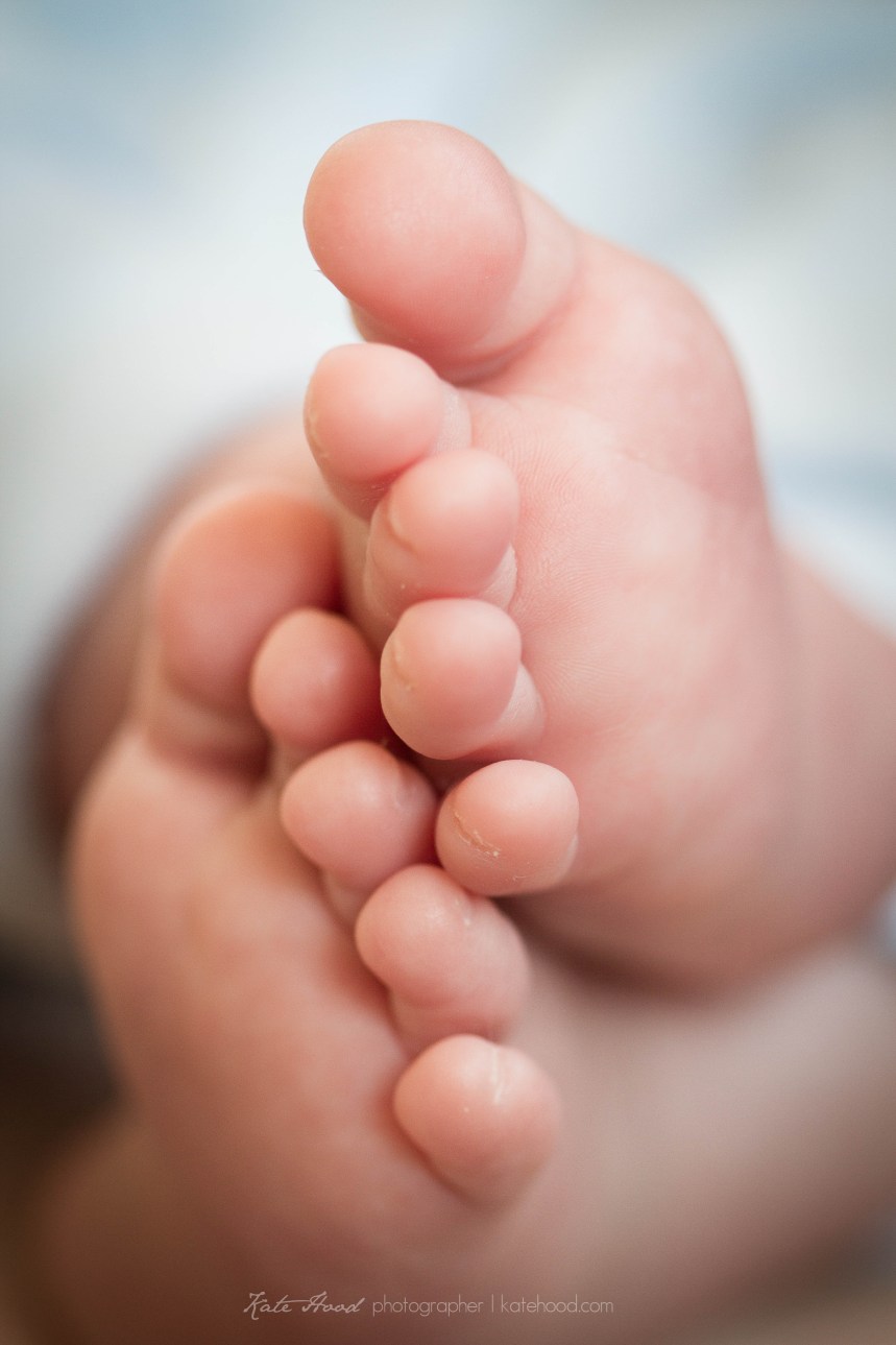 Muskoka new born baby photographers
