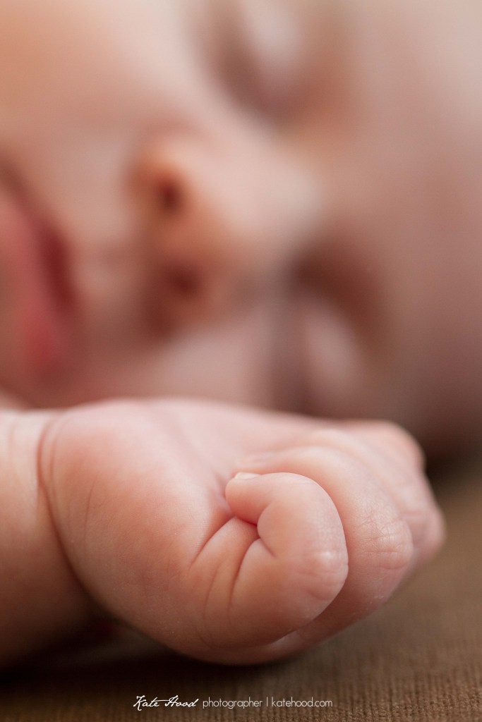 Sundridge Ontario new born photographers