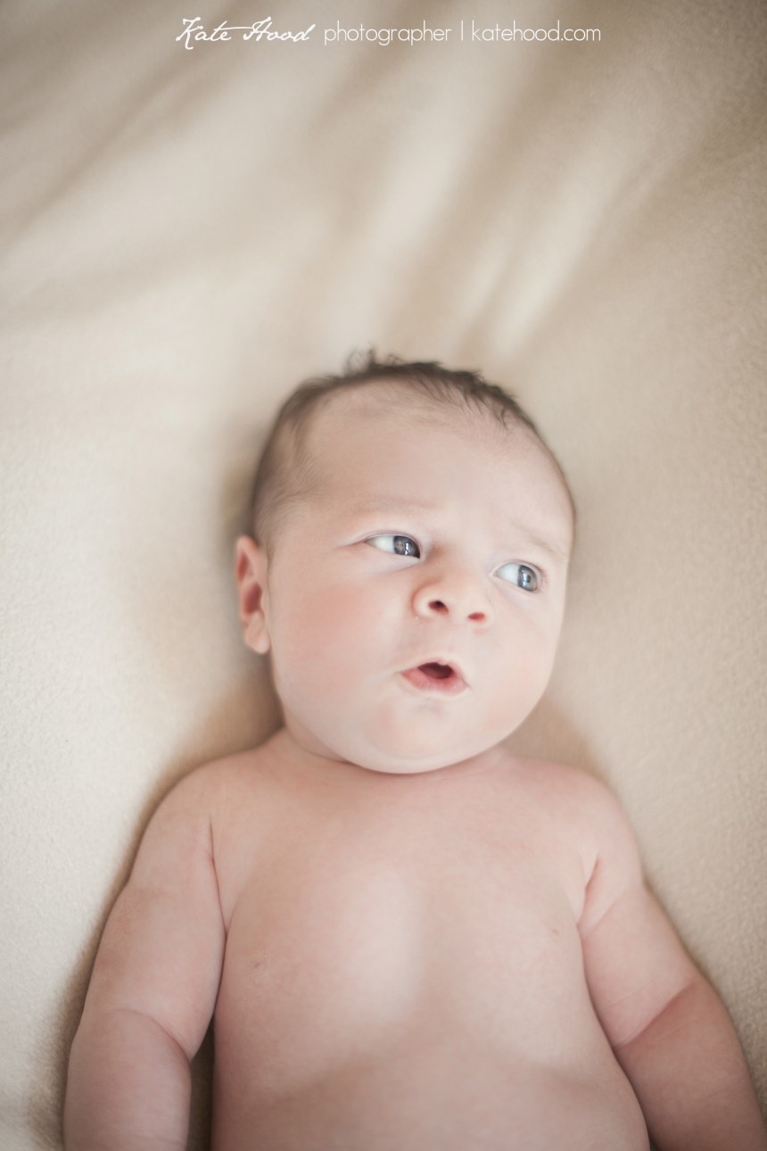 Sundridge Ontario photographers