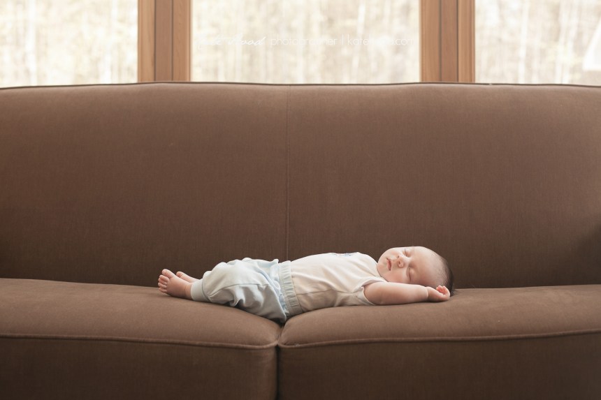 Near North family photographers