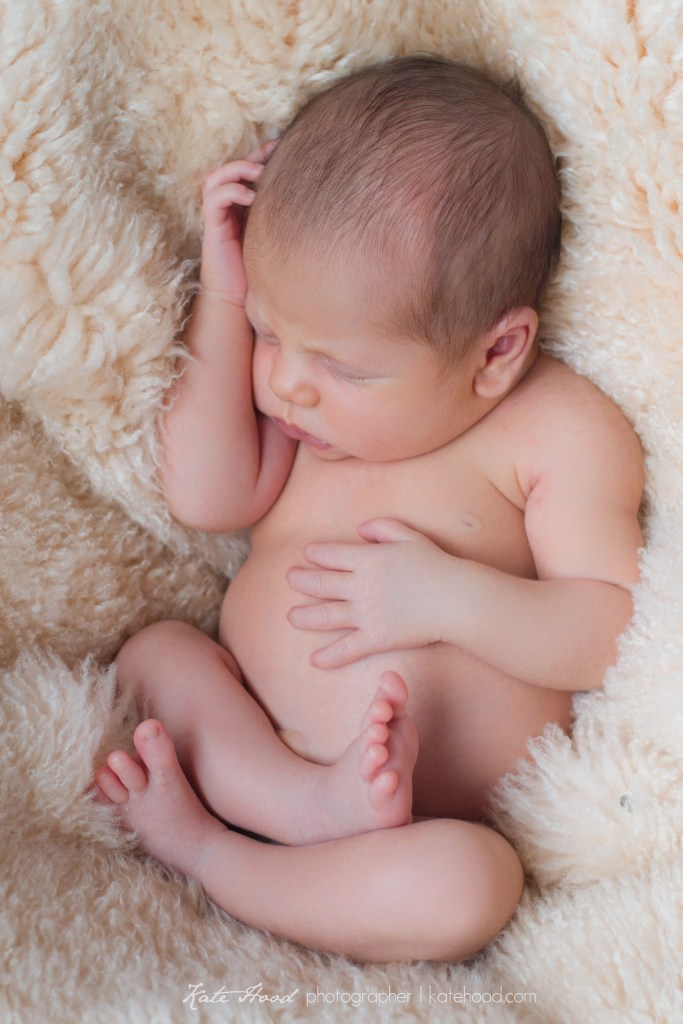 Huntsville newborn Photographers