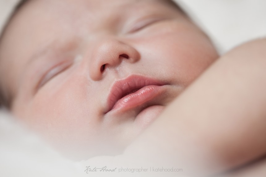 Muskoka Newborn Photographers