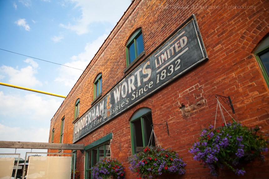 Toronto Wedding Photojournalist