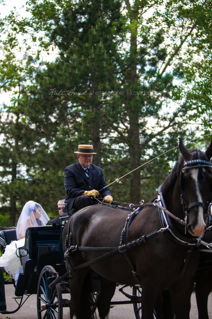 Tralee Orangeville Wedding Photos