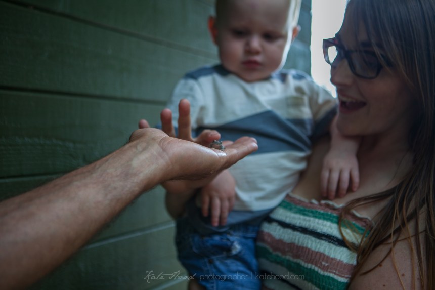 Ontario Cottage Family Photographs