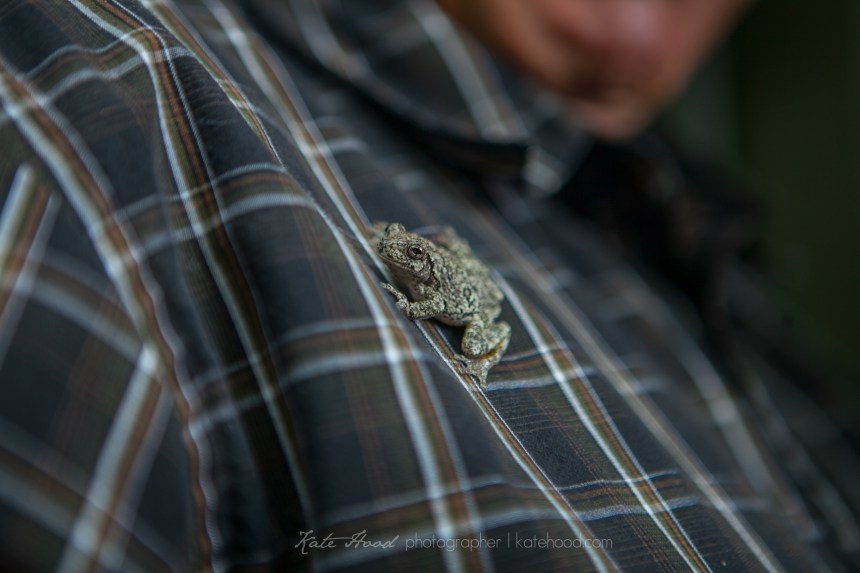 Ontario Cottage Family Photographs