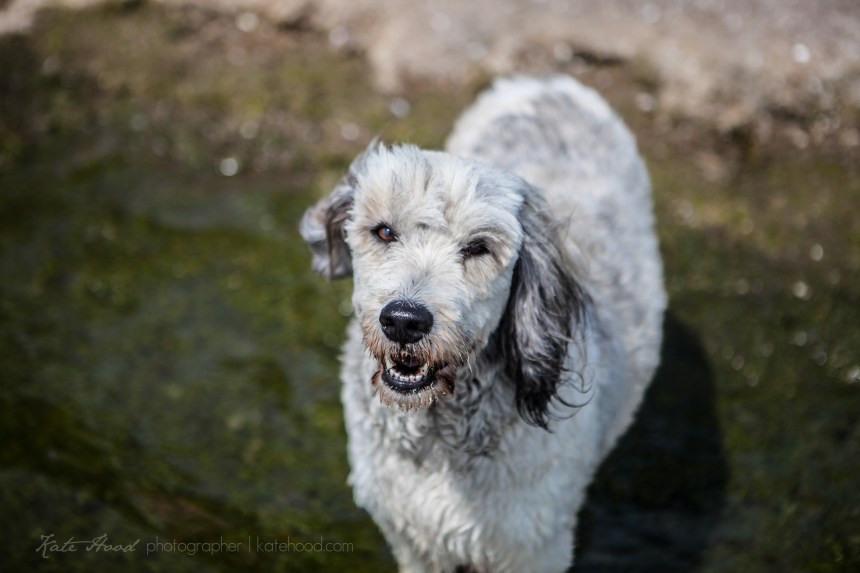 Ontario Family Photojournalist