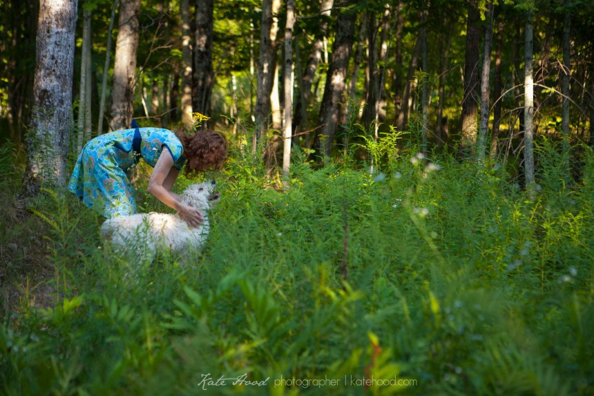 Muskoka Photographers
