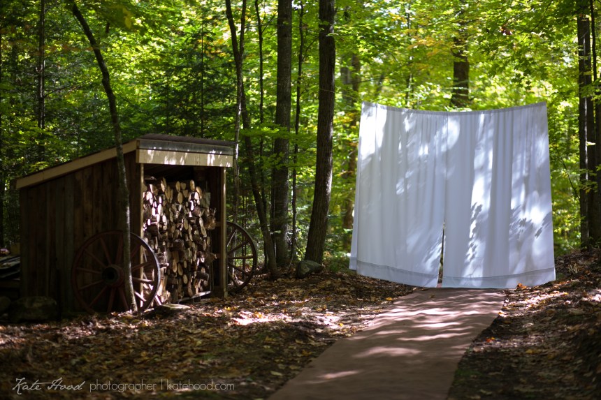 Intimate Forest Weddings in Ontario