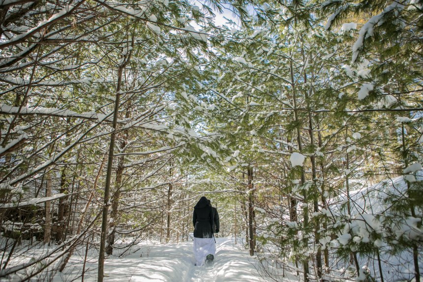 Hardy Lake Provincial Park Wedding