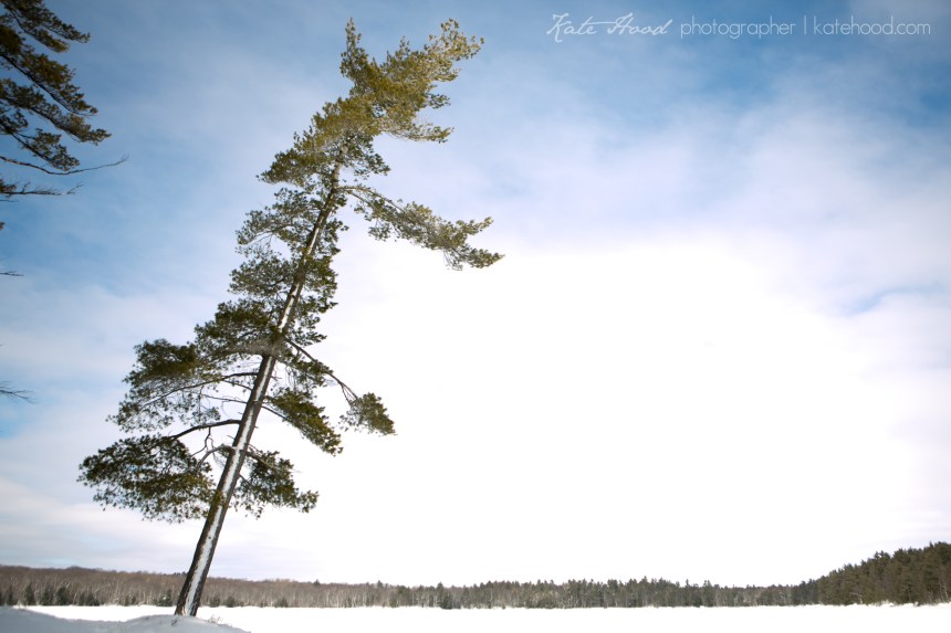 Gravenhurst Wedding Photographers