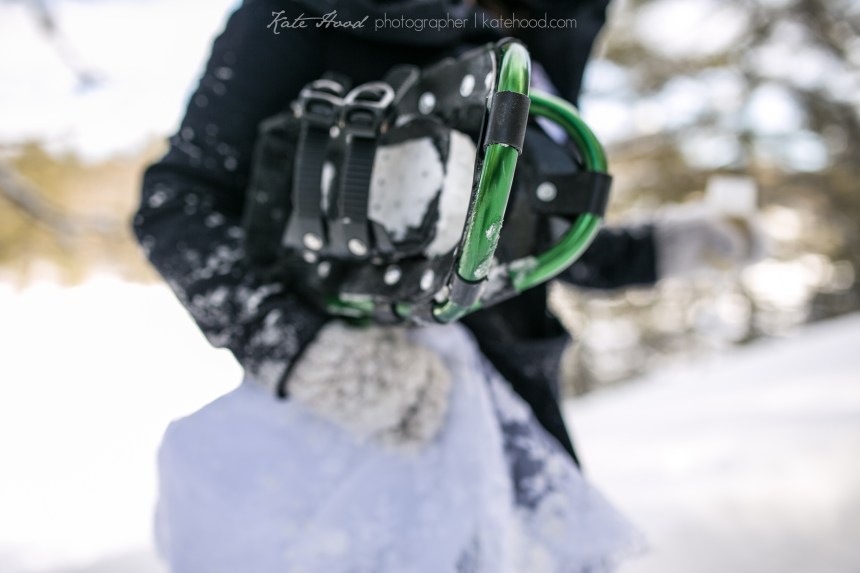 Muskoka's Best Wedding Photographer