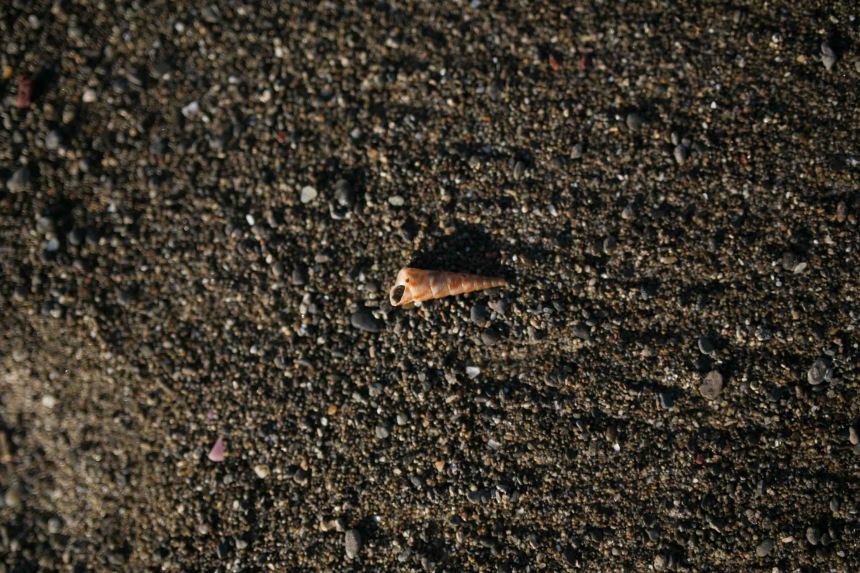 Costa Rica Family Photographer