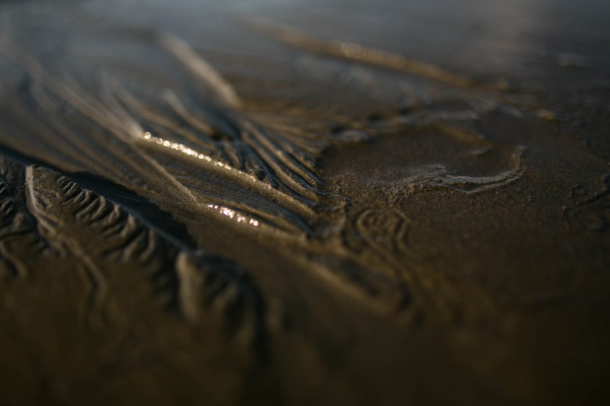 Potrero Beach Photographer