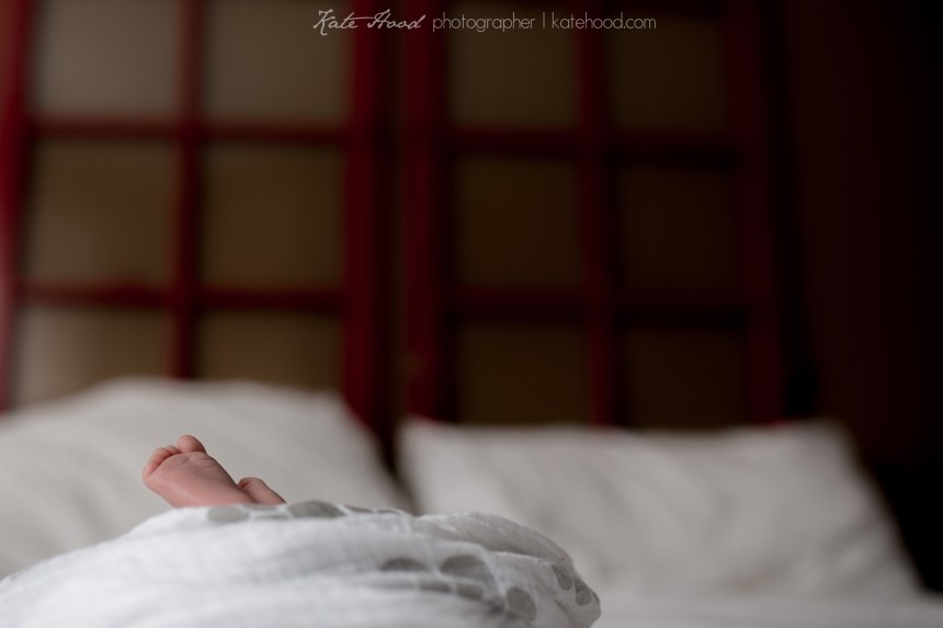 Muskoka Family Photographer