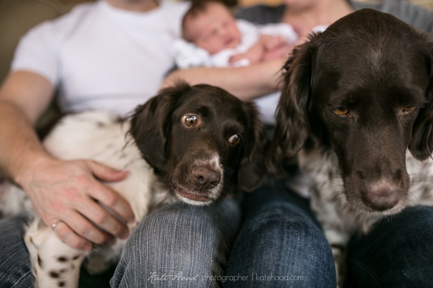 Muskoka Ontario Family Photojournalist