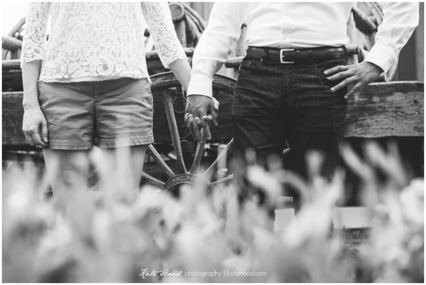 Collingwood Photographers