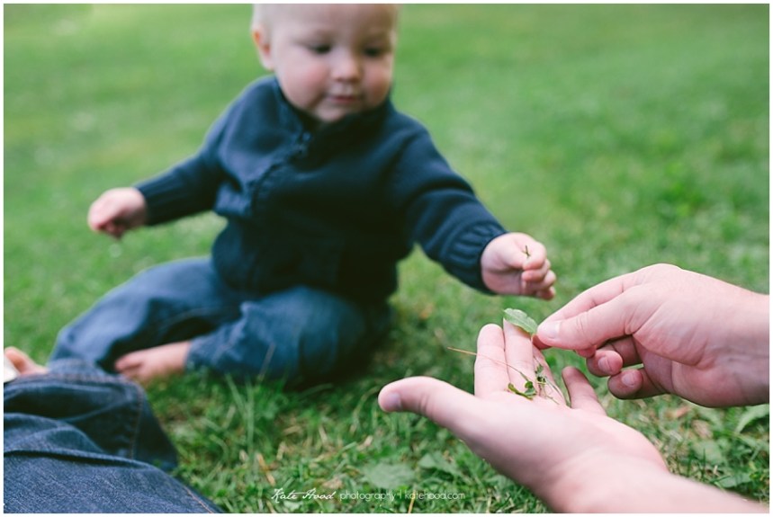 Dwight Family Photographers