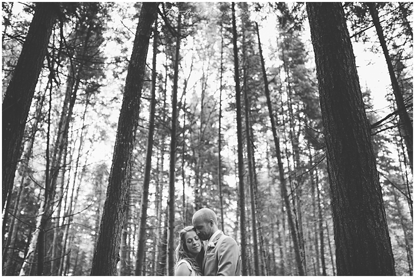 Muskoka Wedding Photographers, 2013