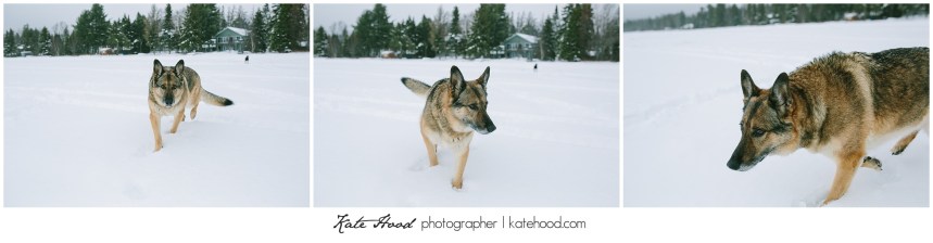 Muskoka Family Photographer