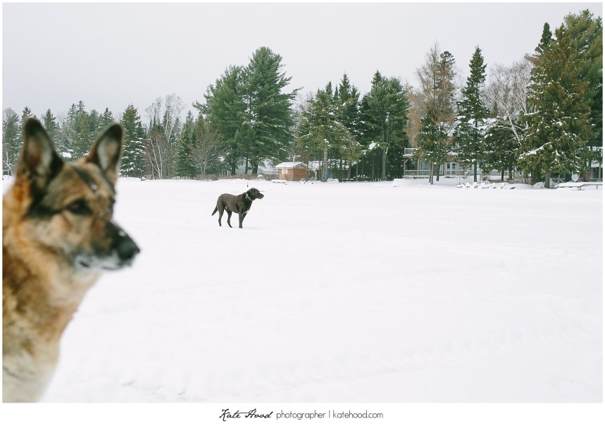 Muskoka Family Photographer