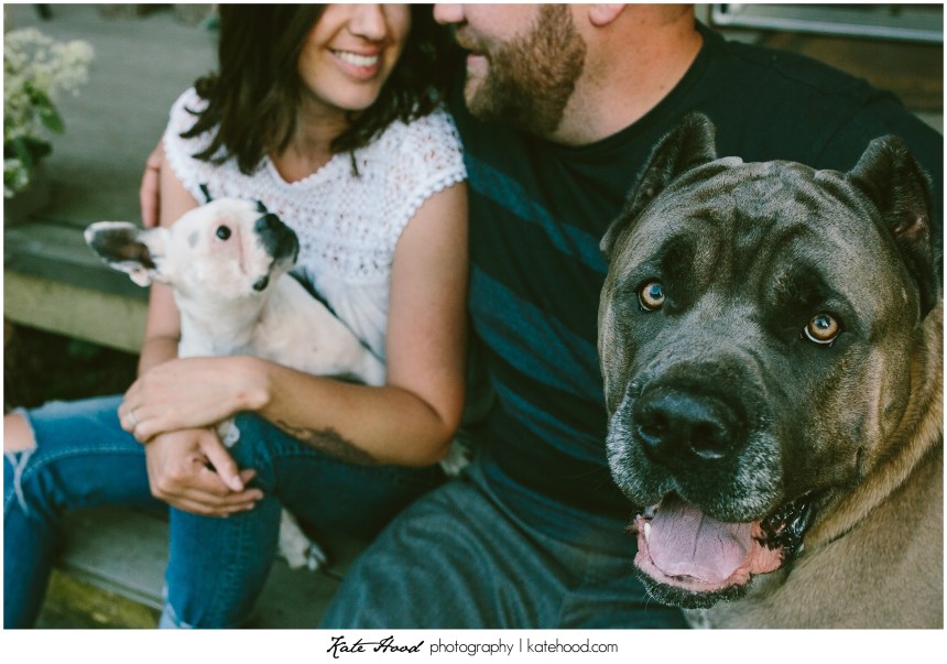 Best Muskoka Photographers