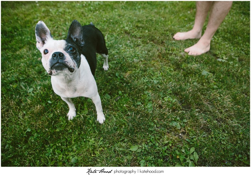 Best Muskoka Photographers