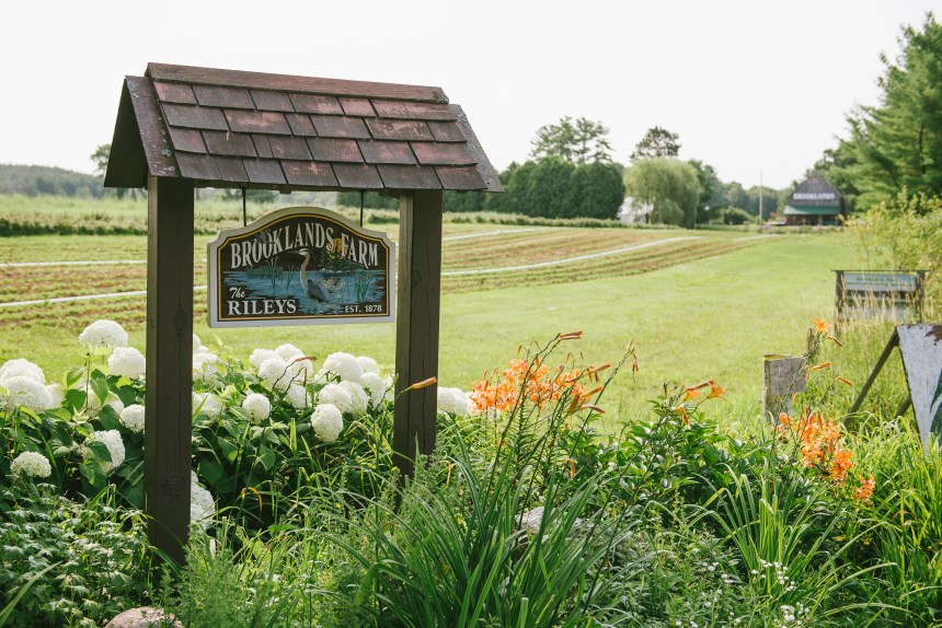 Ontario Barn Weddings