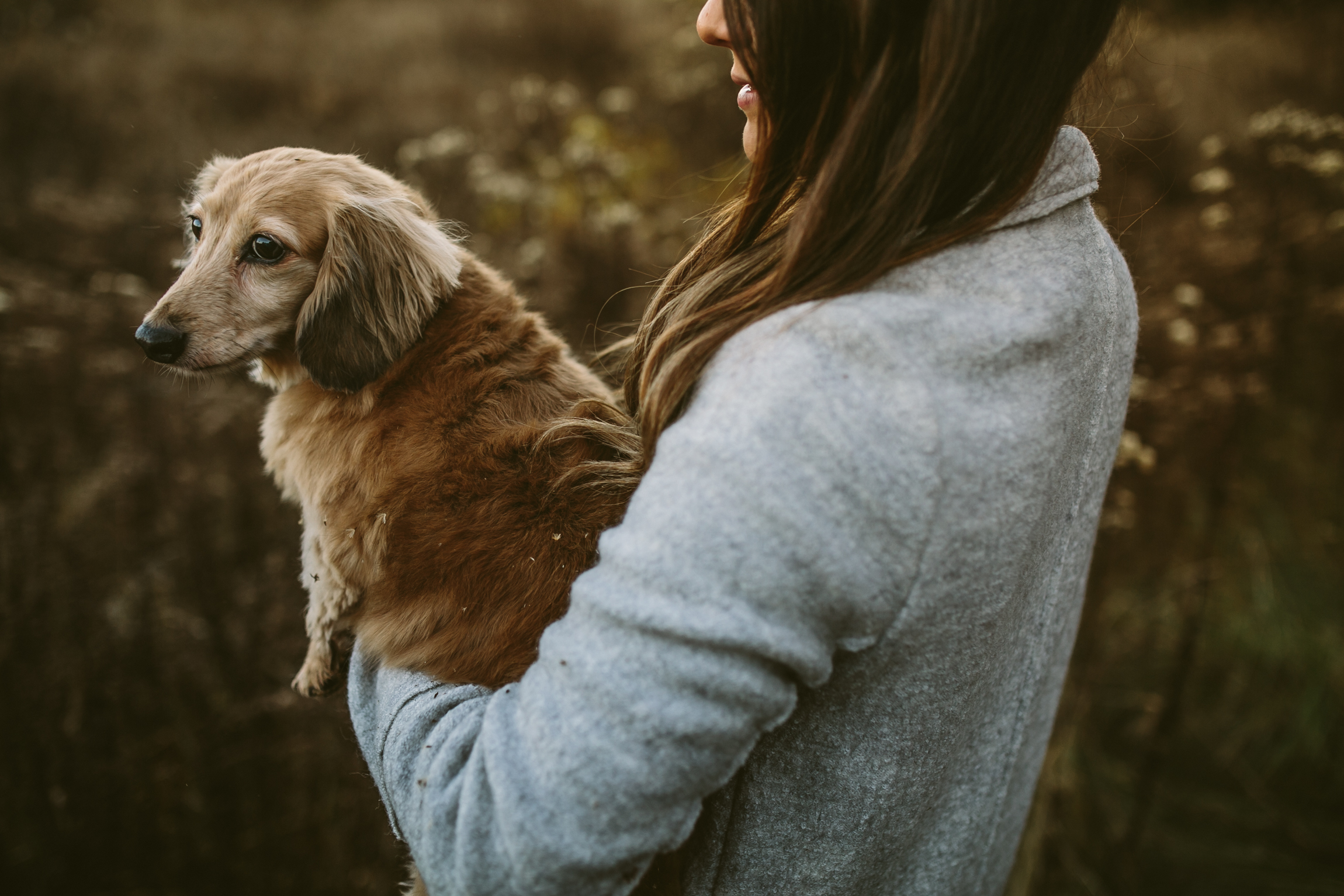 Coleen+Neil-Muskoka-Engagement-Photos-©KateHood.com-2016-68