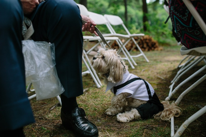 Muskoka Wedding Photographer
